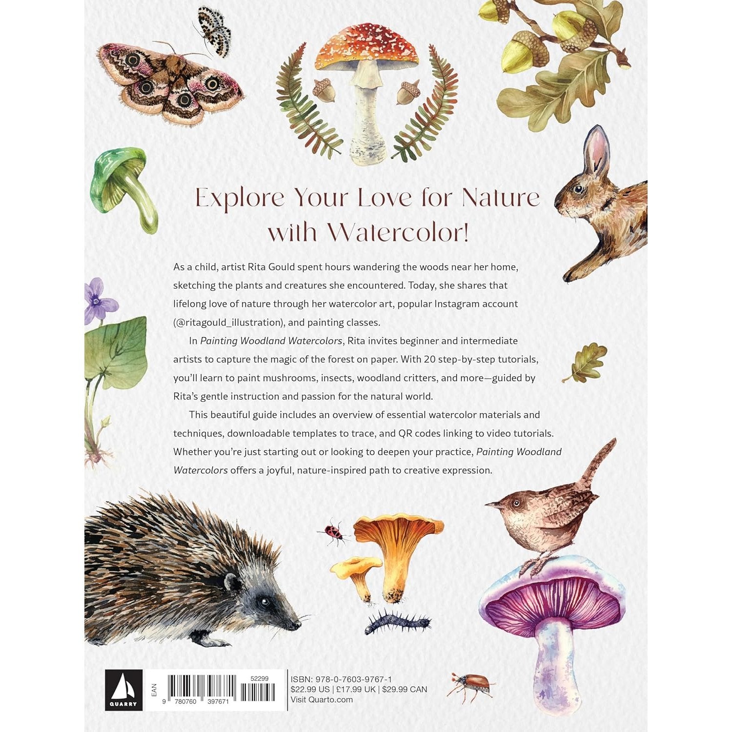 PAINTING WOODLAND WATERCOLOURS FOREST WONDERS