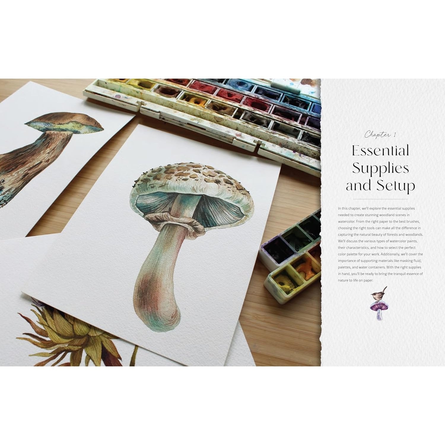 PAINTING WOODLAND WATERCOLOURS FOREST WONDERS