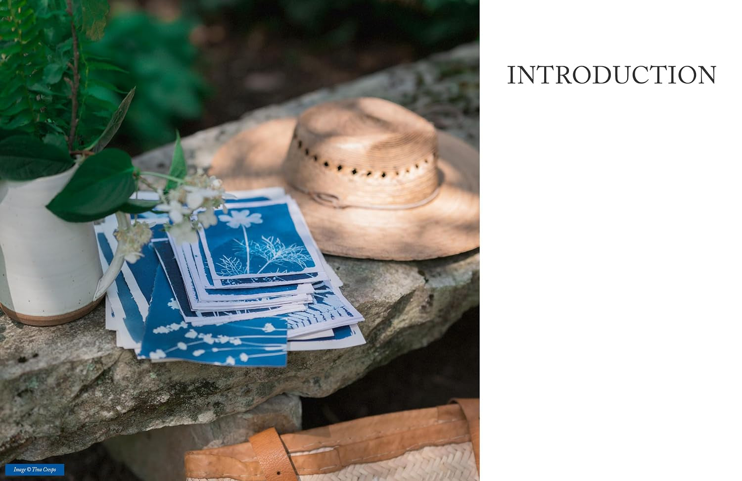 BOTANICAL CYANOTYPE