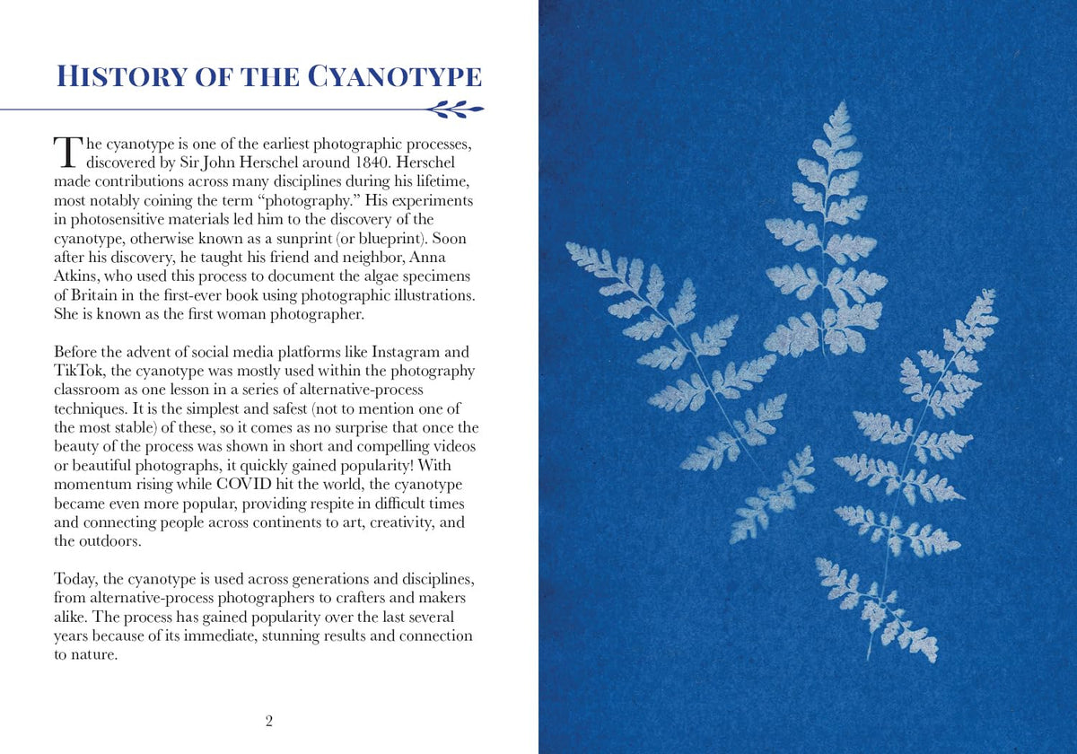 3-COLOR BOTANICAL CYANOTYPE KIT