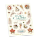 ERNST HAECKEL ART FORMS IN NATURE STICKERS