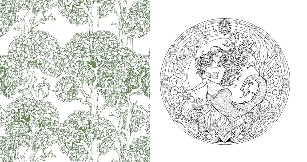 Product image for B9780785843221