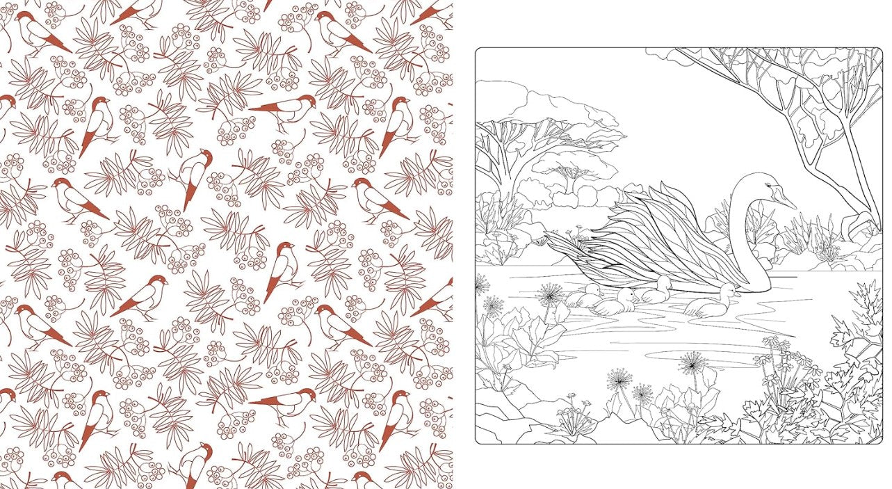 Product image for B9780785843382