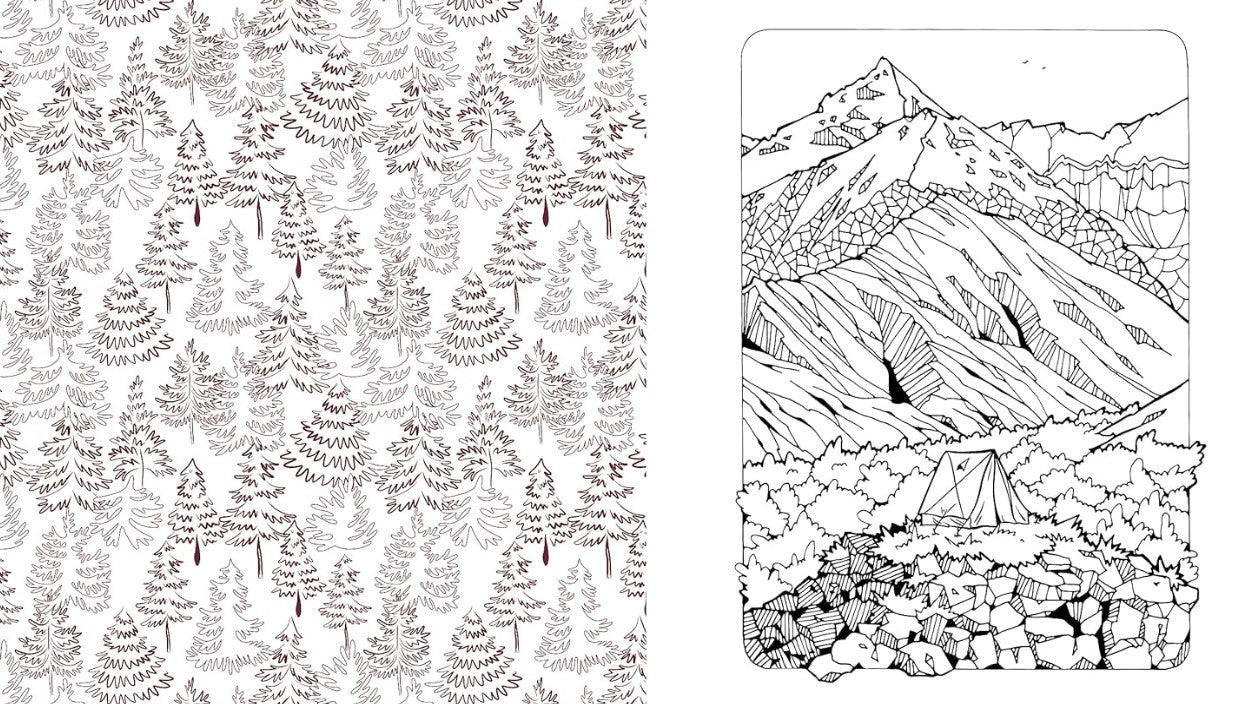 Product image for B9780785843382