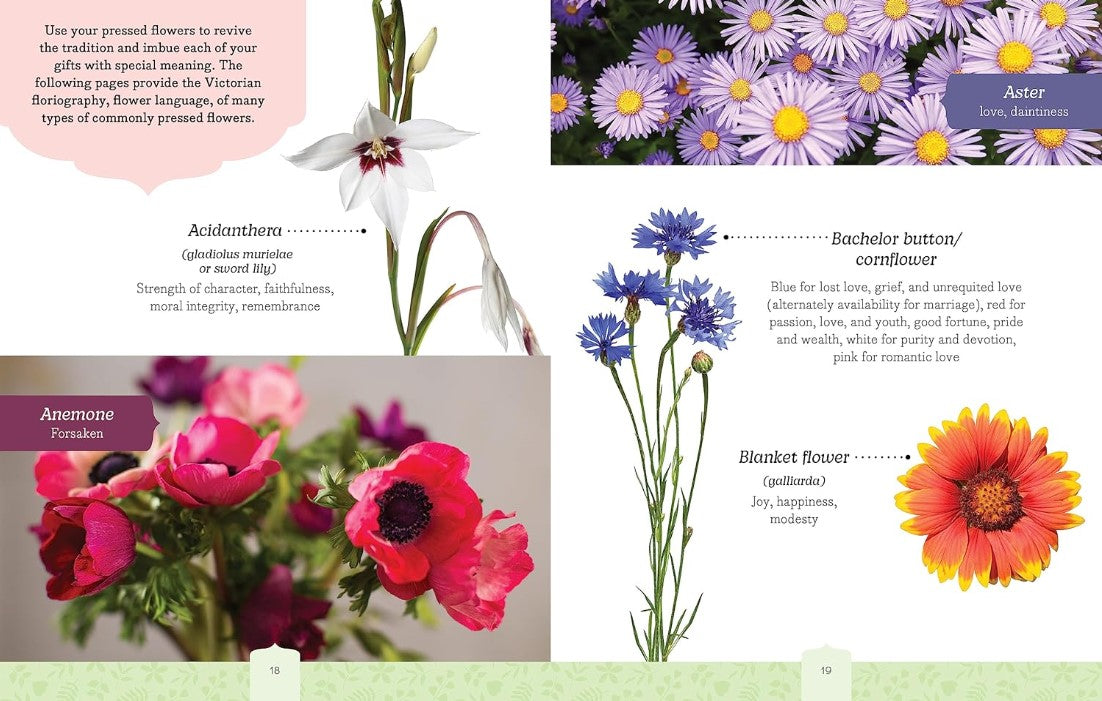 Product image for B9780785843412