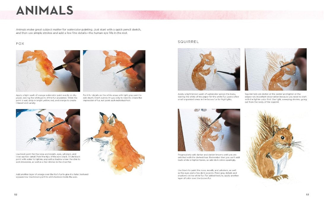 Product image for B9780785843887