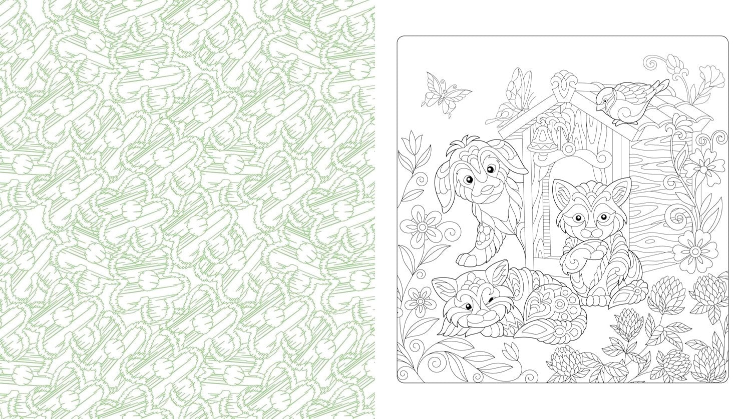 Product image for B9780785844808