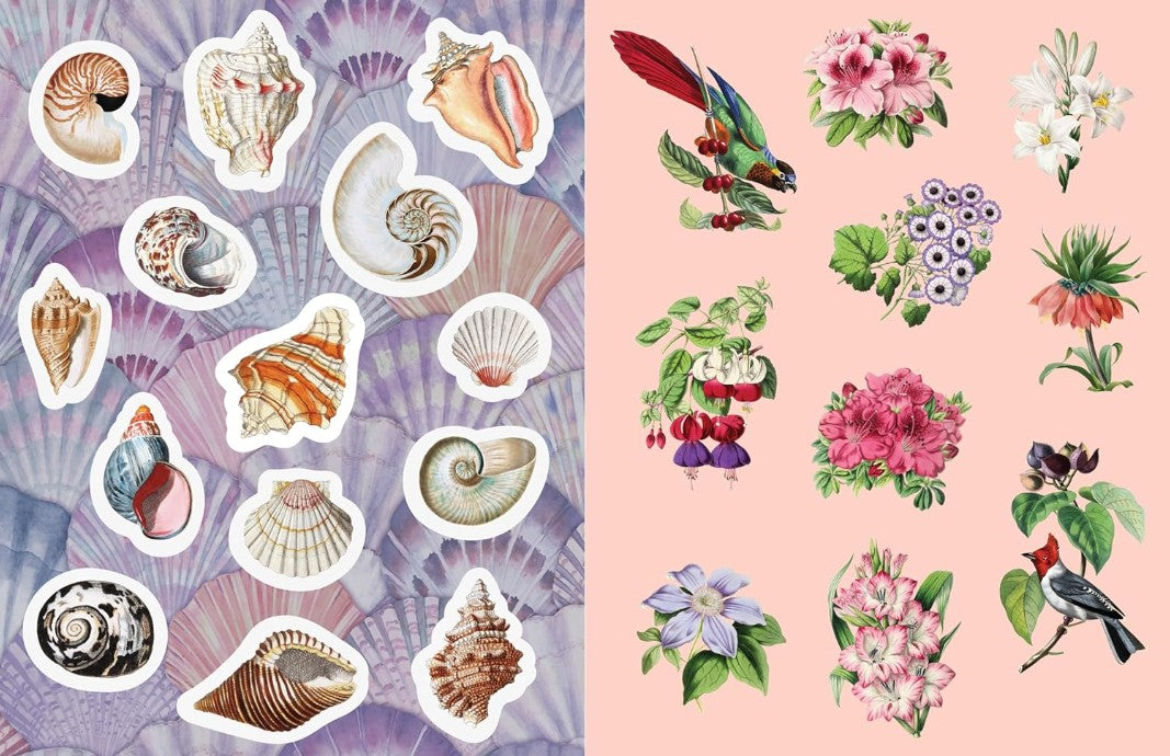 Product image for B9780785846116