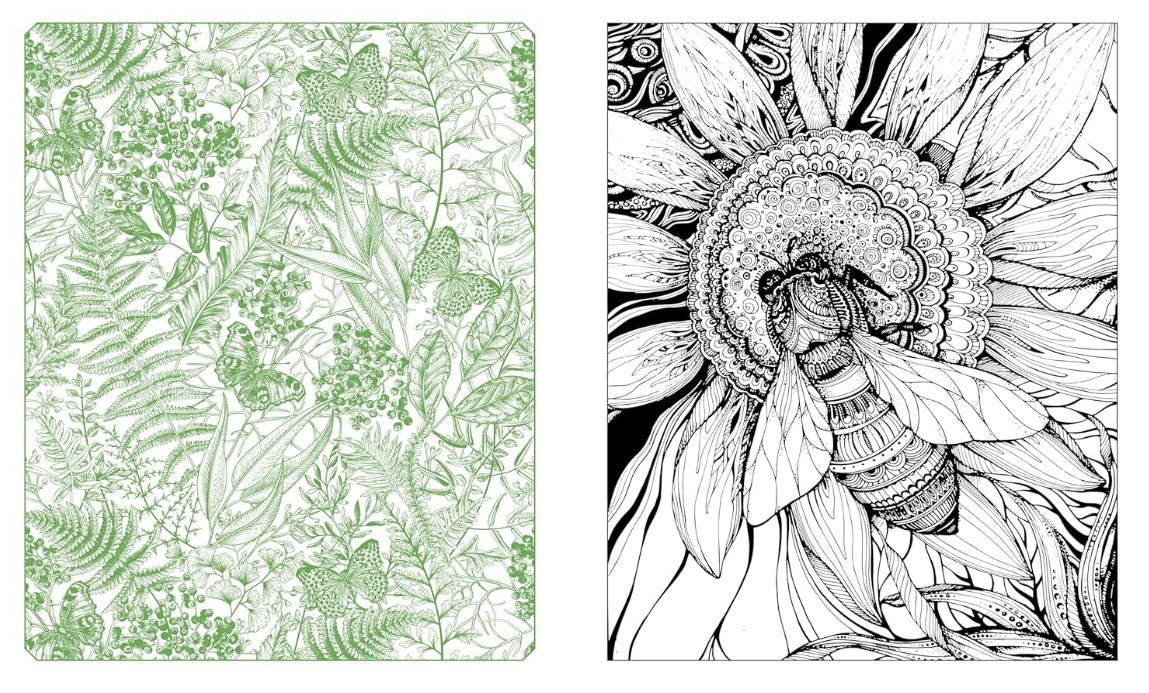 Product image for B9780785846314