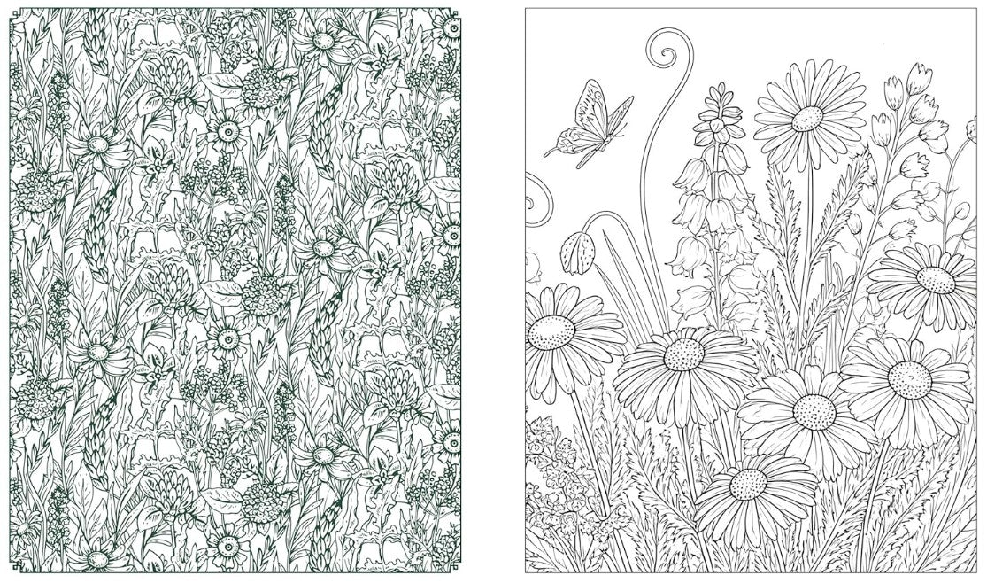 Product image for B9780785846321