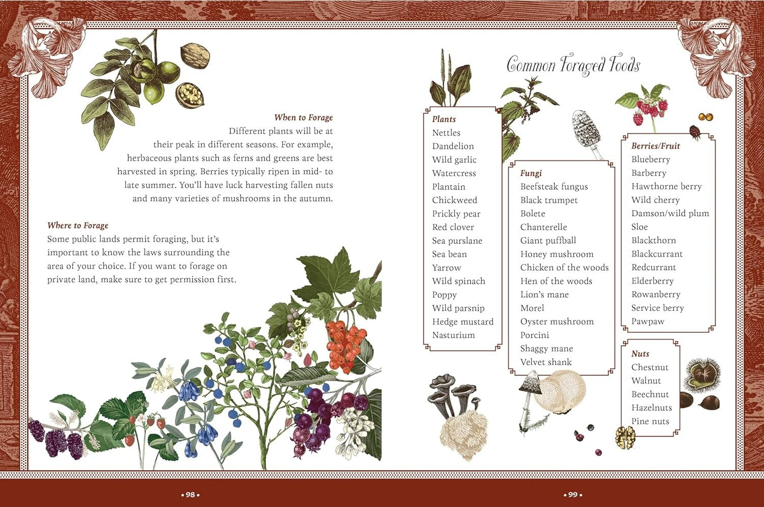 FOREST FAIRIES MUSHROOMS GOBLINS 500 STICKERS