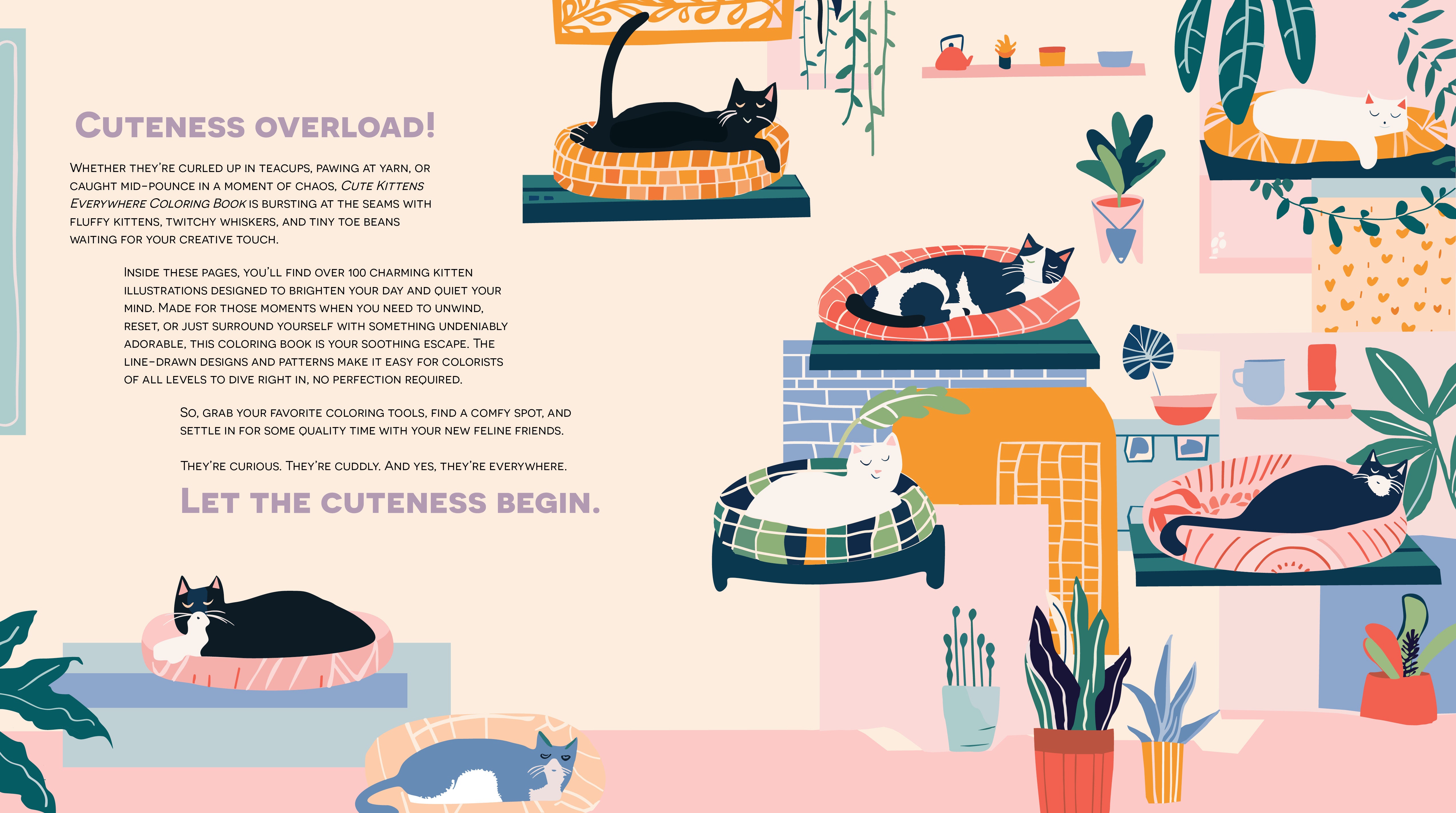 CUTE KITTENS EVERYWHERE COLORING BOOK