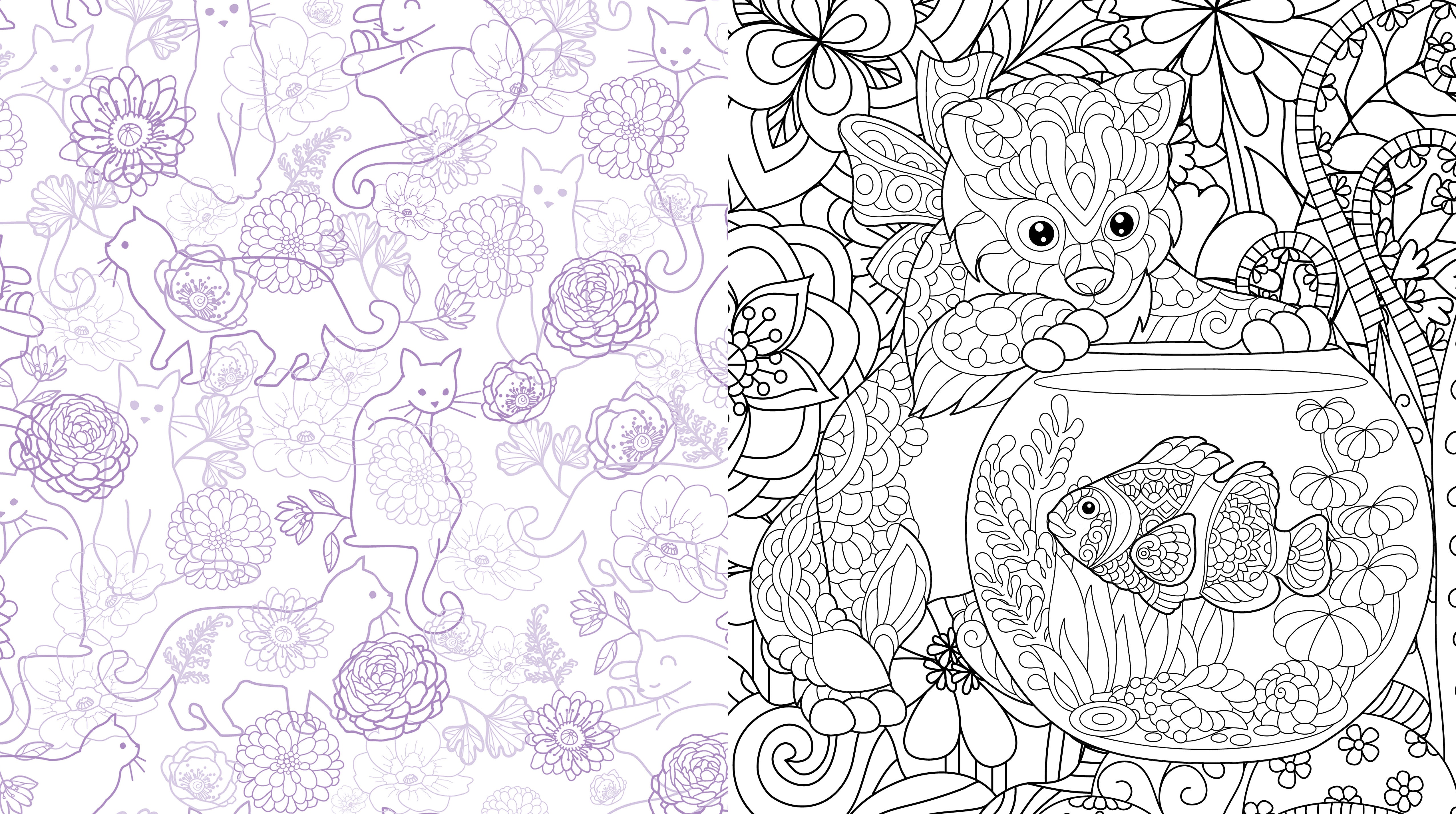 CUTE KITTENS EVERYWHERE COLORING BOOK