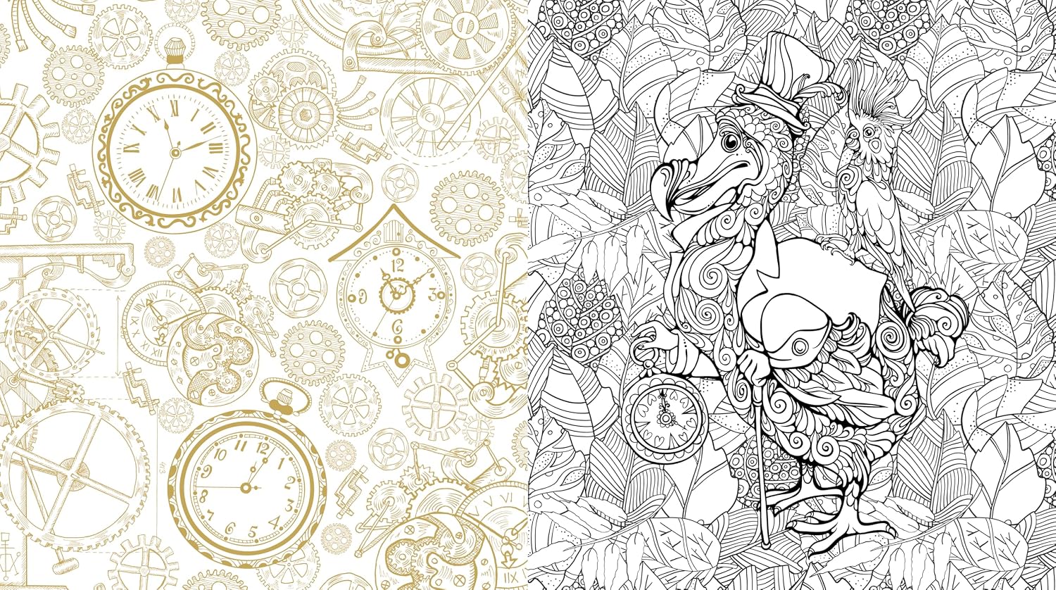 ODDITIES & CURIOSITIES COLORING BOOK