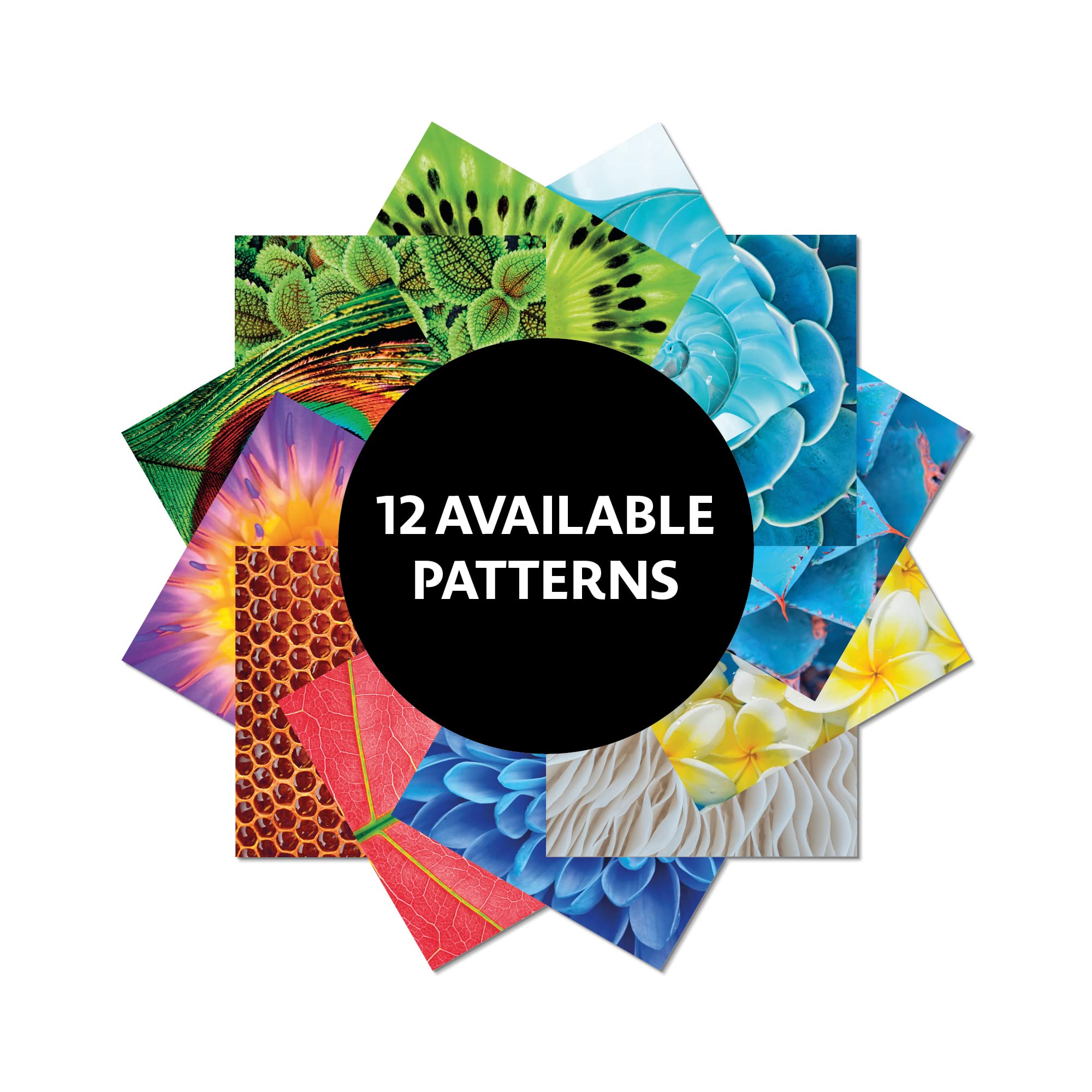 Product image for B9780804851589