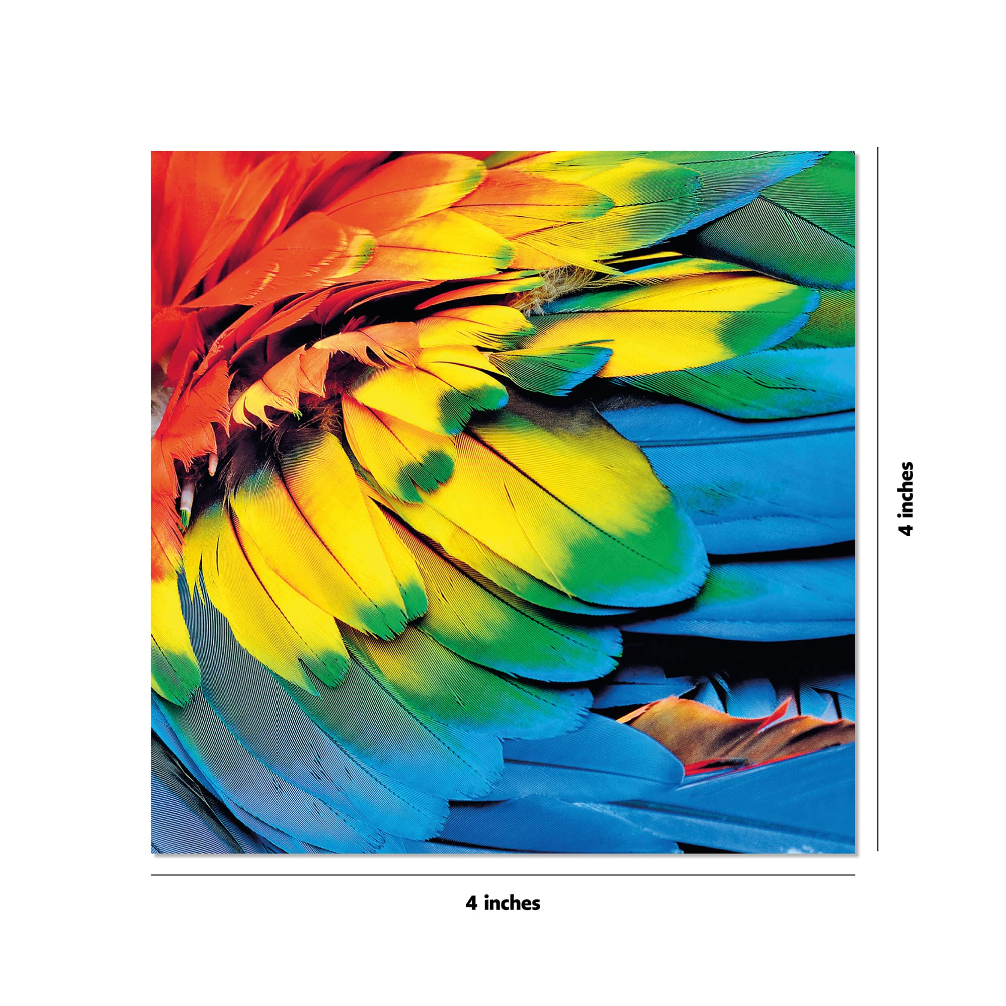 Product image for B9780804852081