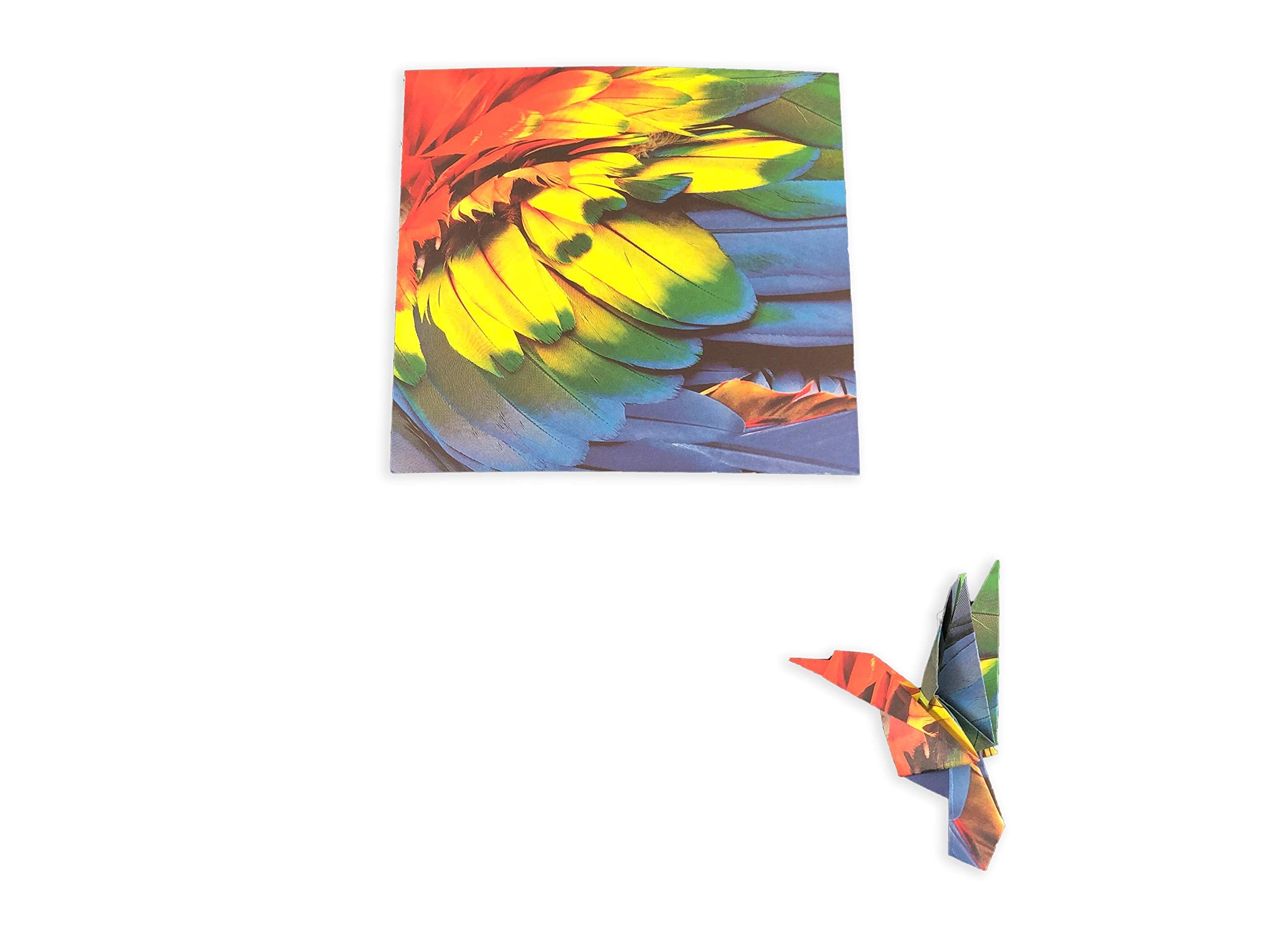 ORIGAMI PAPER 300 SHEETS NATURE PHOTO PATTERN 10CM