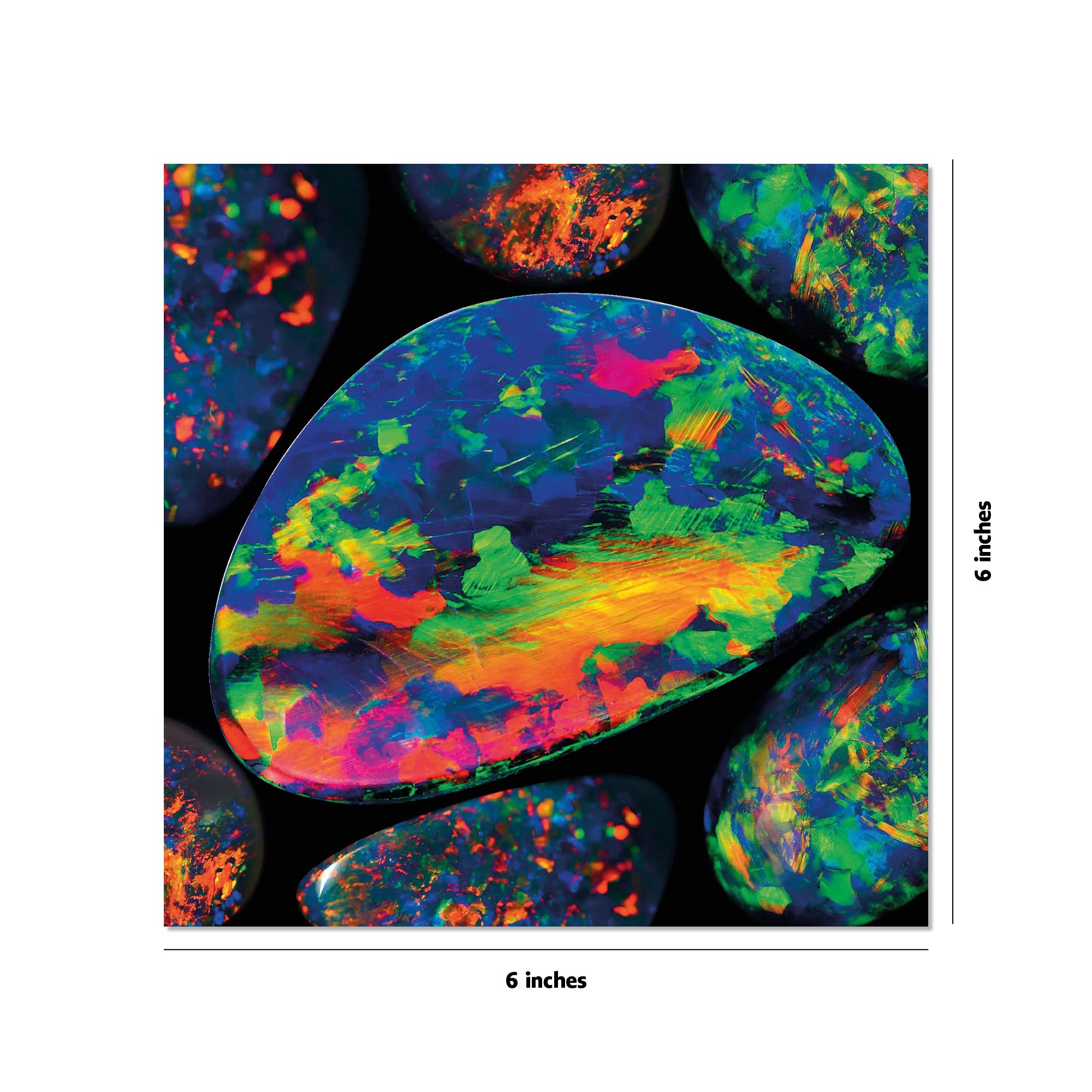 Product image for B9780804853200