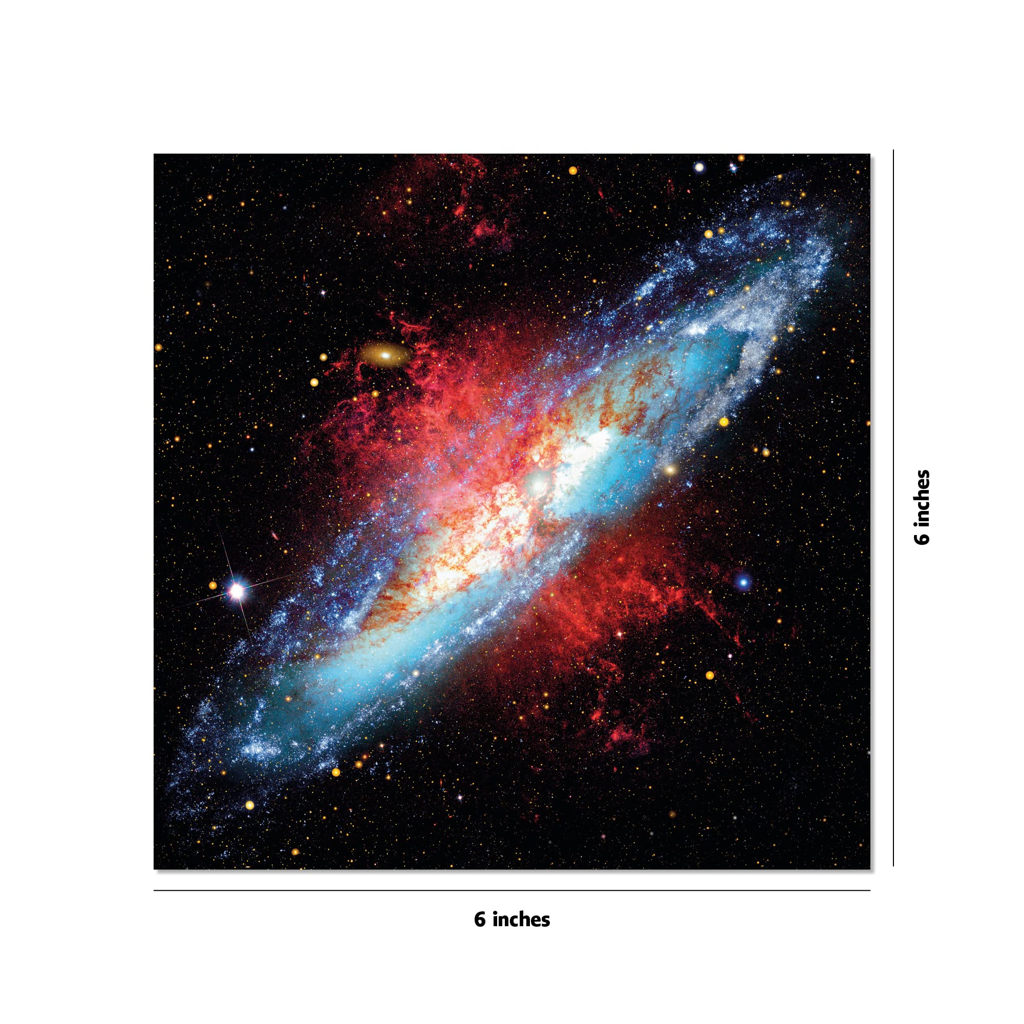 Product image for B9780804853651