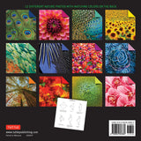 Product image for B9780804853682