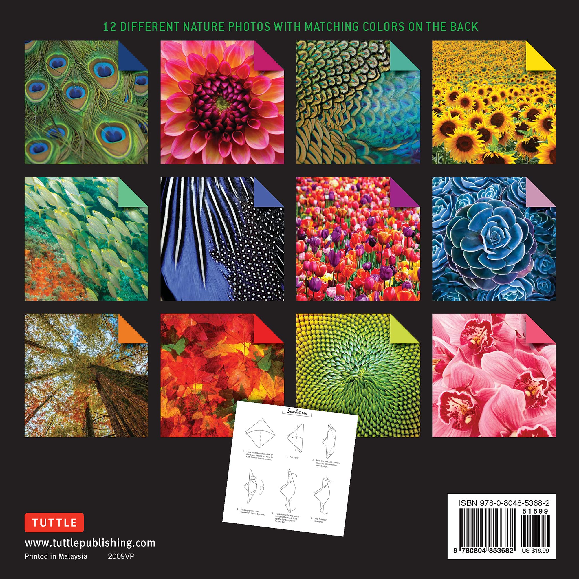 Product image for B9780804853682