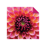 Product image for B9780804853682