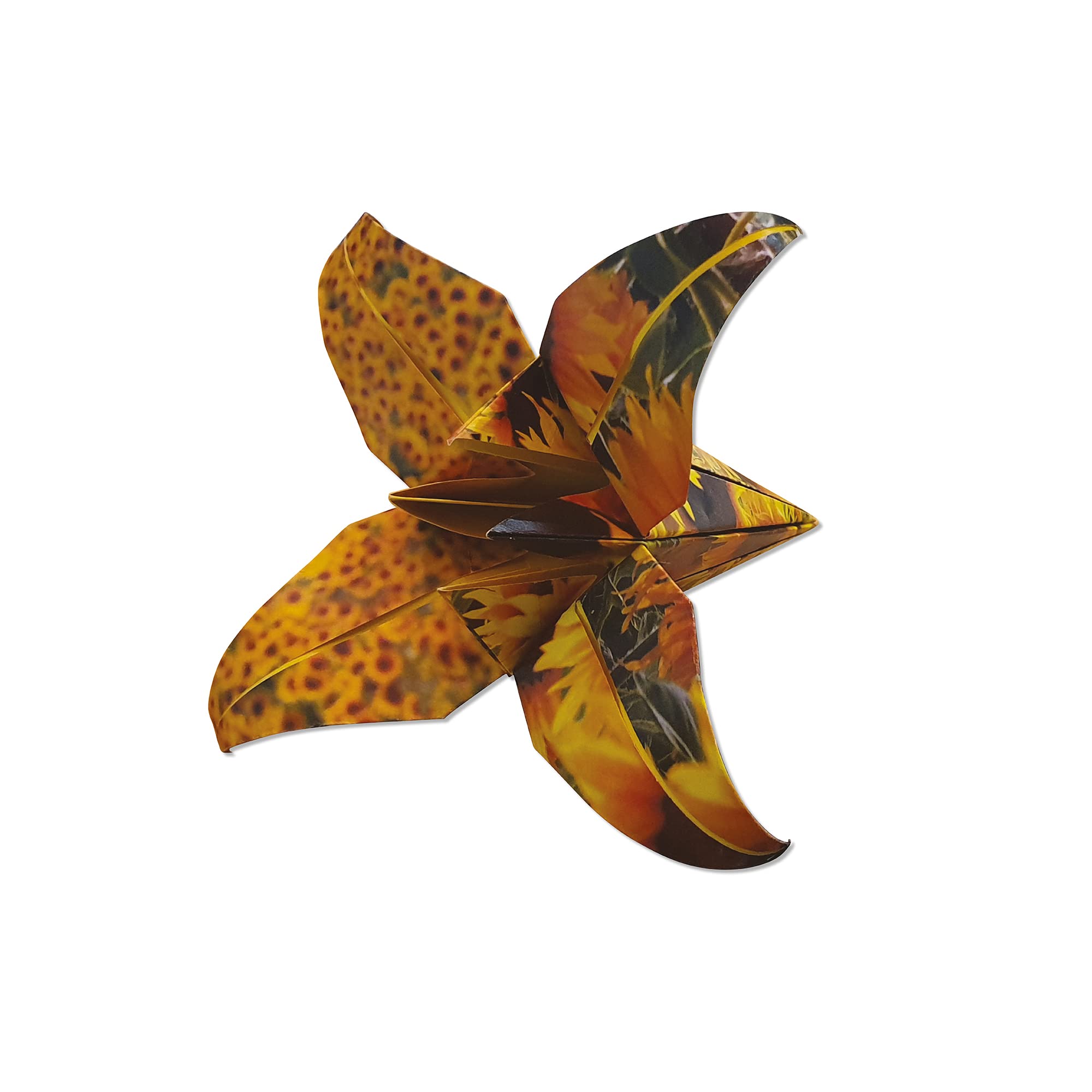 Product image for B9780804853682