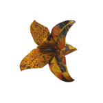 Product image for B9780804853682