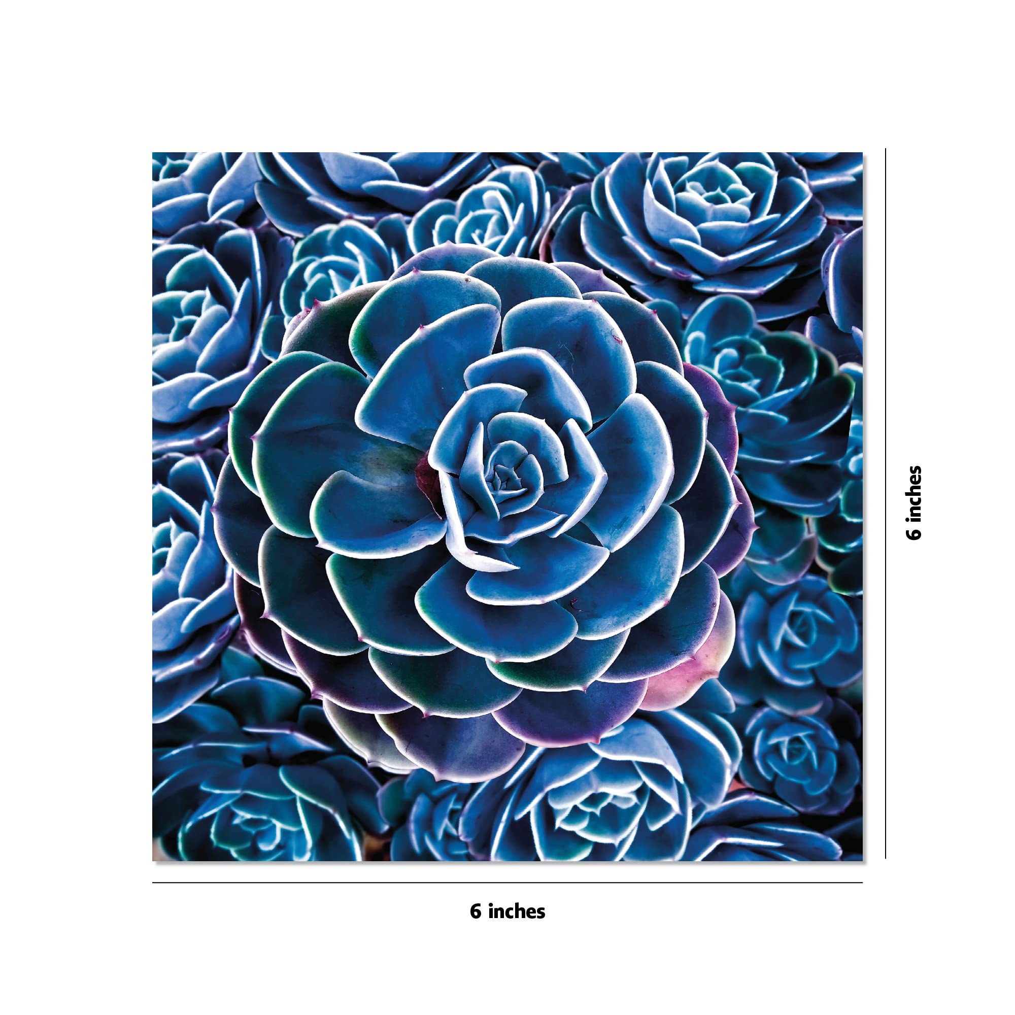 Product image for B9780804853729