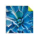 Product image for B9780804853729