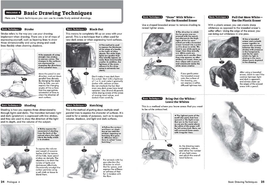 Product image for B9780804856119