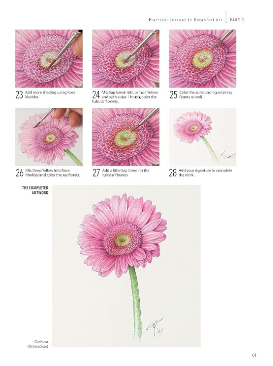 Product image for B9780804856393