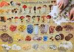 MUSHROOMS OF THE WORLD 1000 PIECE PUZZLE