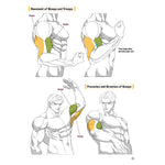 MANGA MUSCLES