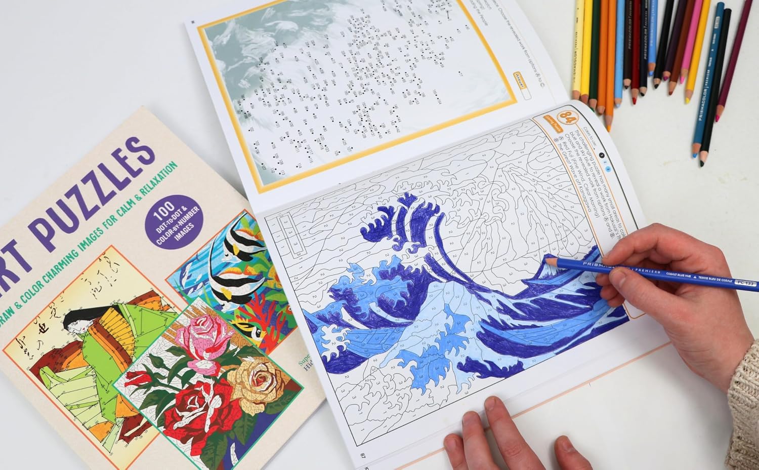 ART PUZZLES COLOUR BY NUMBERS