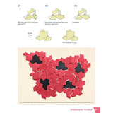 EINSTEIN ORIGAMI PAPER PUZZLE GAMES