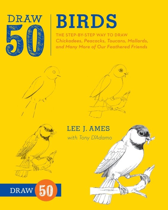 DRAW 50 BIRDS