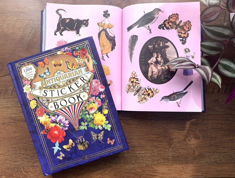 Product image for B9781250208149