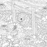 Product image for B9781250285478