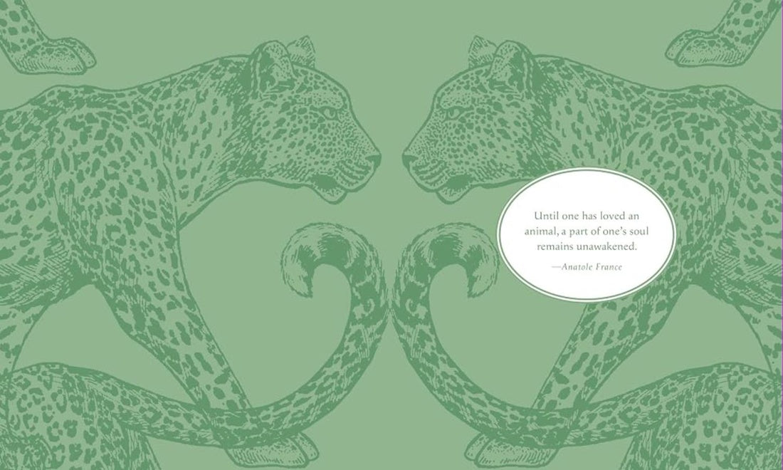 STICKER STUDIO: MENAGERIE