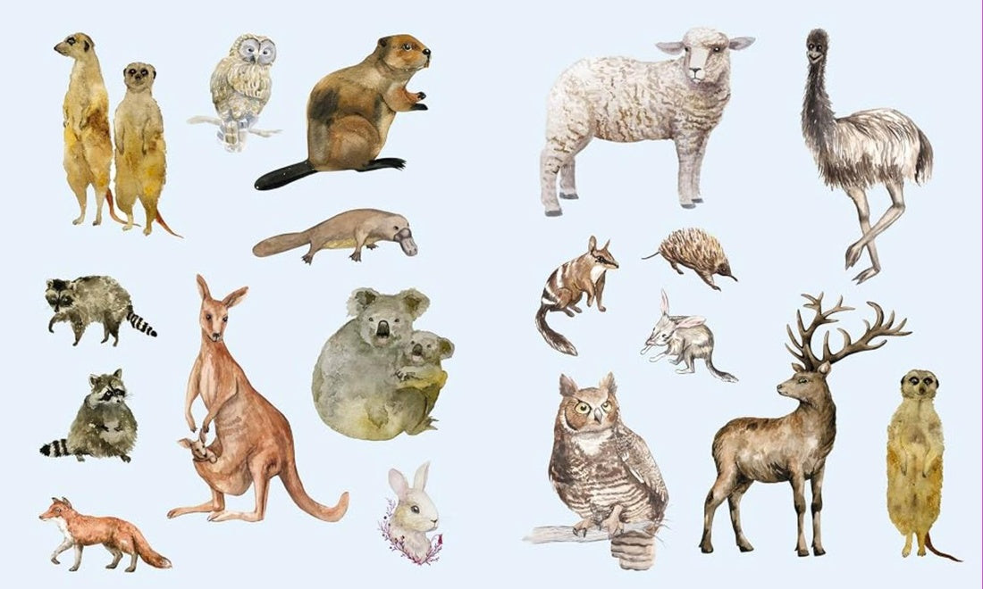 STICKER STUDIO: MENAGERIE