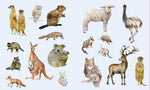 STICKER STUDIO: MENAGERIE