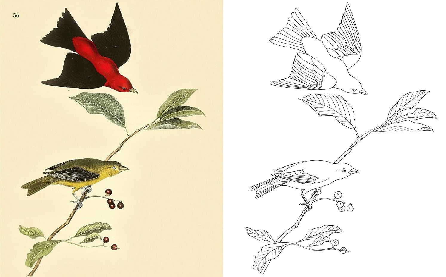 Product image for B9781398824522