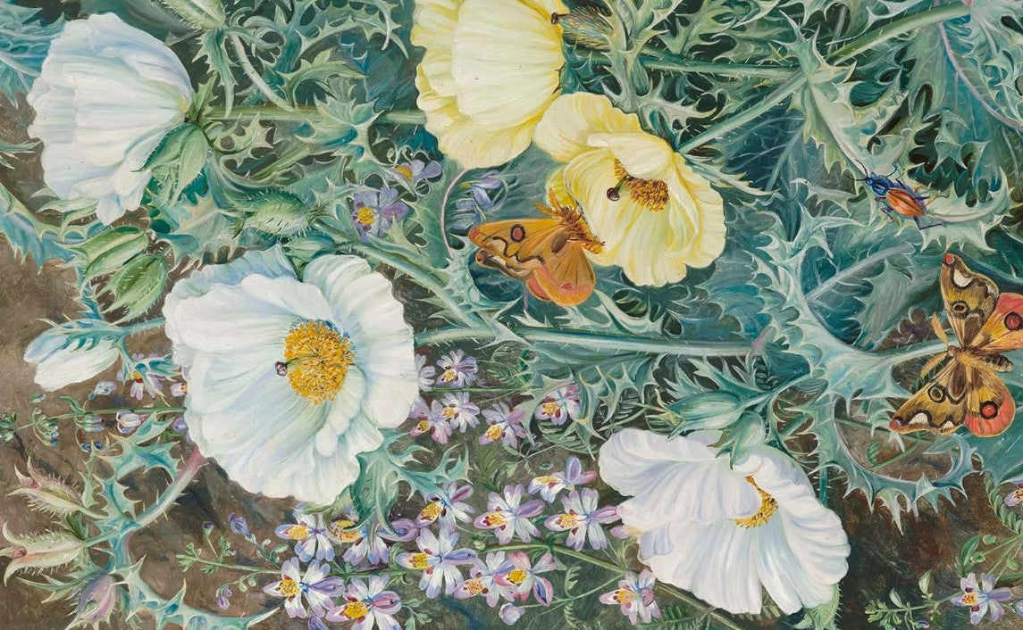 Product image for B9781398828988