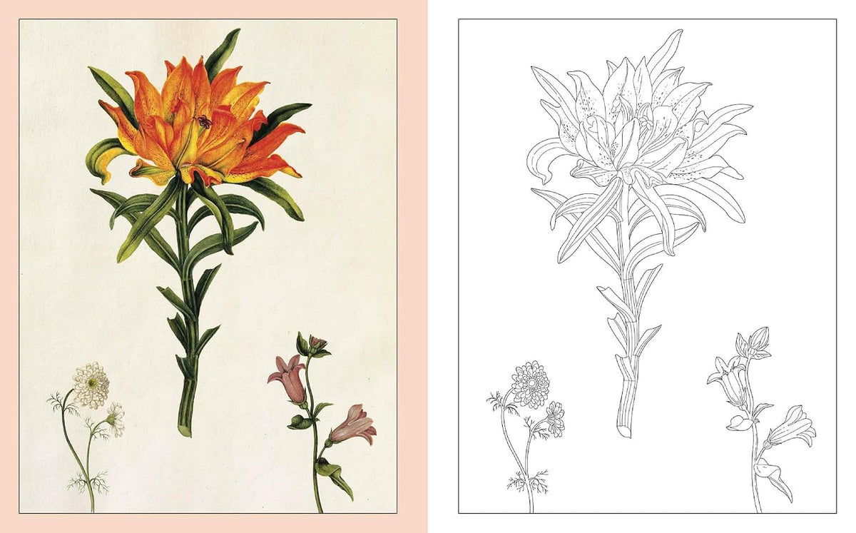 ALEXANDER MARSHAL'S NATURE COLOURING BOOK