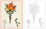 ALEXANDER MARSHAL'S NATURE COLOURING BOOK