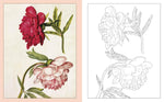 ALEXANDER MARSHAL'S NATURE COLOURING BOOK