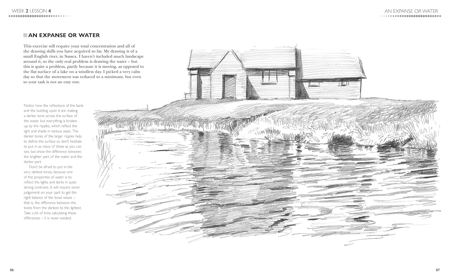 6-WEEK DRAWING COURSE