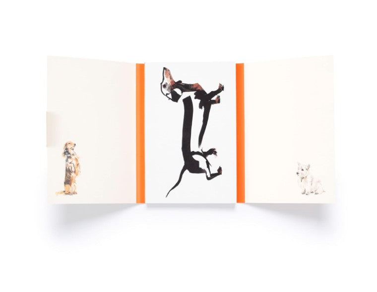 Product image for B9781399600156