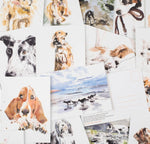 Product image for B9781399600156